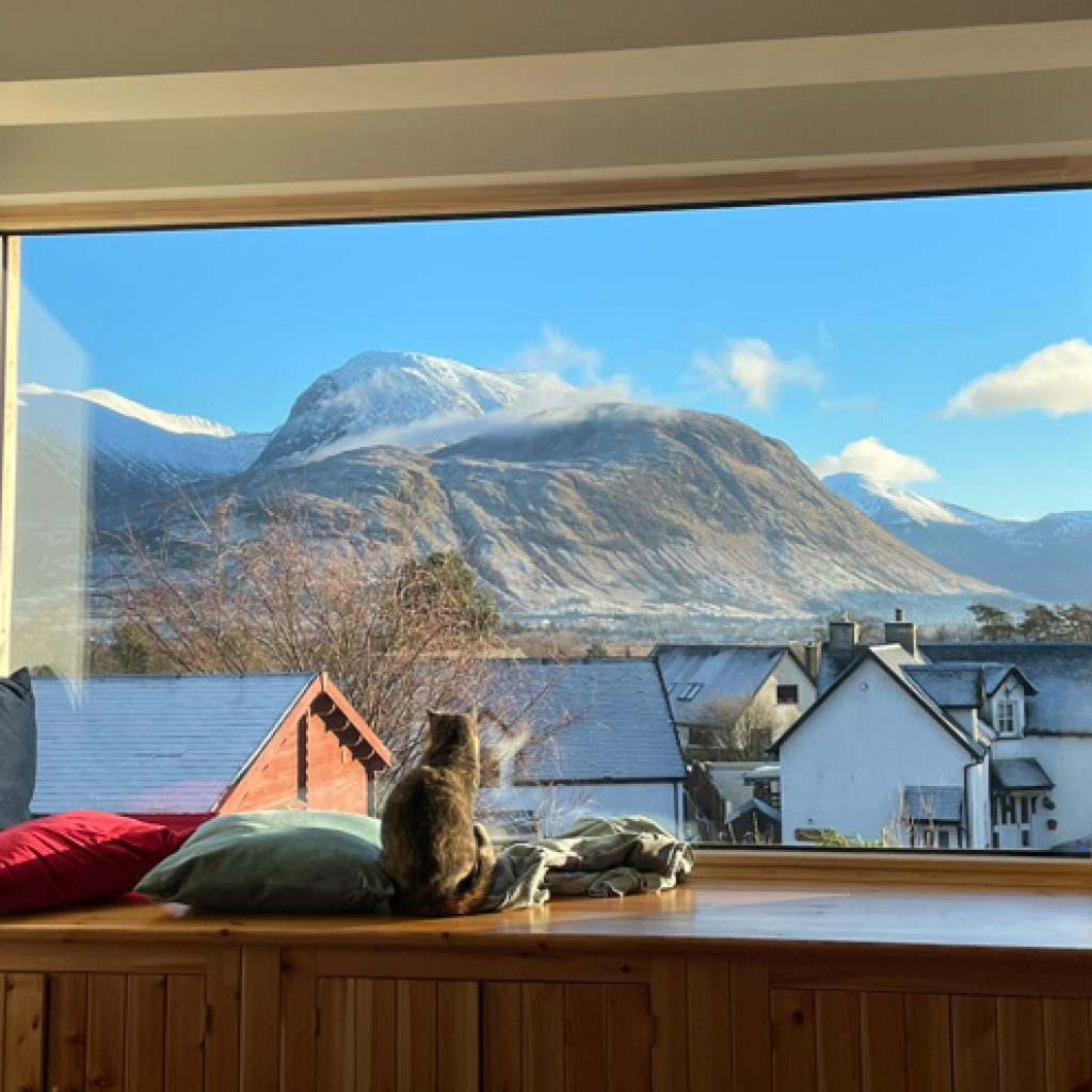 cat staring out of picture window at ben nevis 1 1.jpg